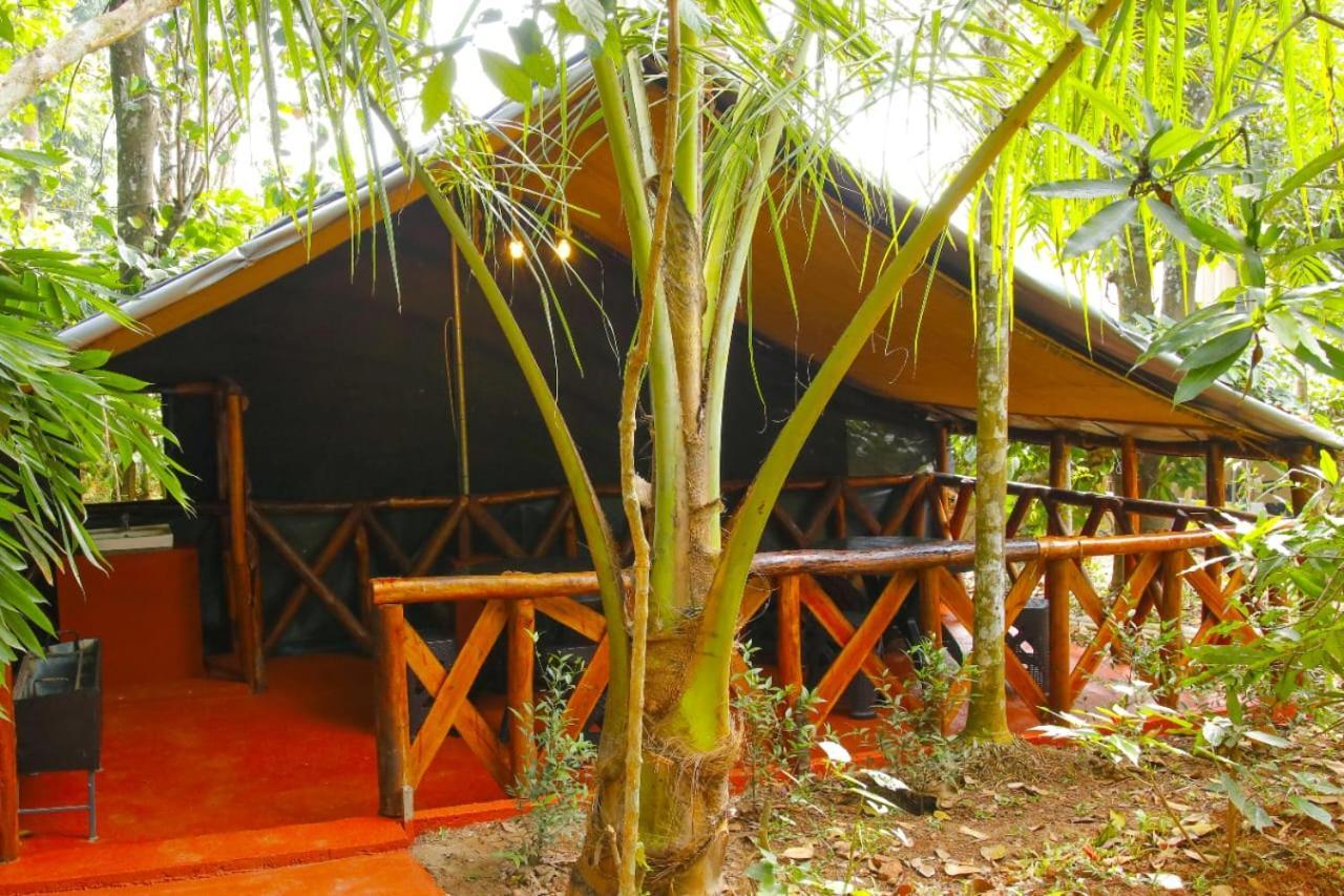 Greens Tree House & Wood House Sultan Bathery Exteriér fotografie