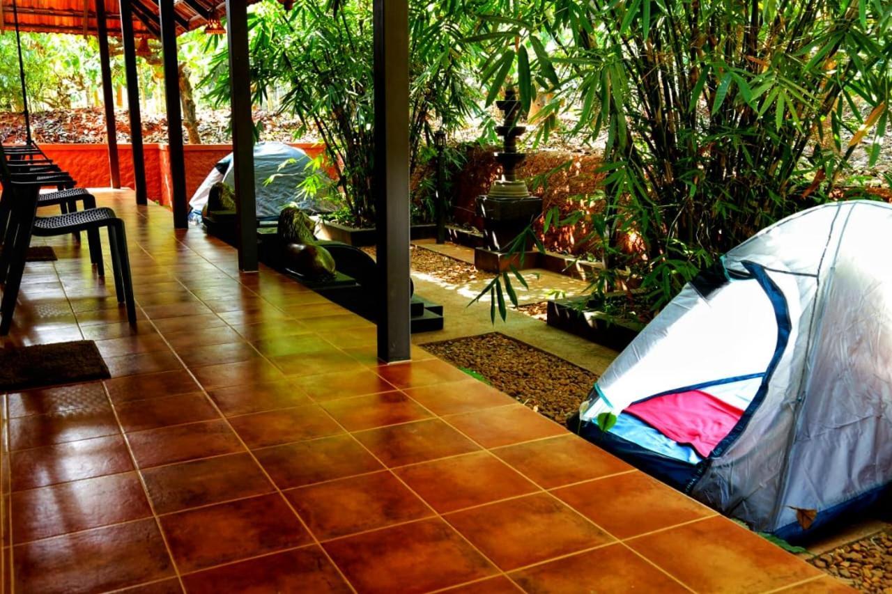 Greens Tree House & Wood House Sultan Bathery Exteriér fotografie