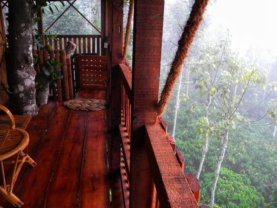 Greens Tree House & Wood House Sultan Bathery Exteriér fotografie