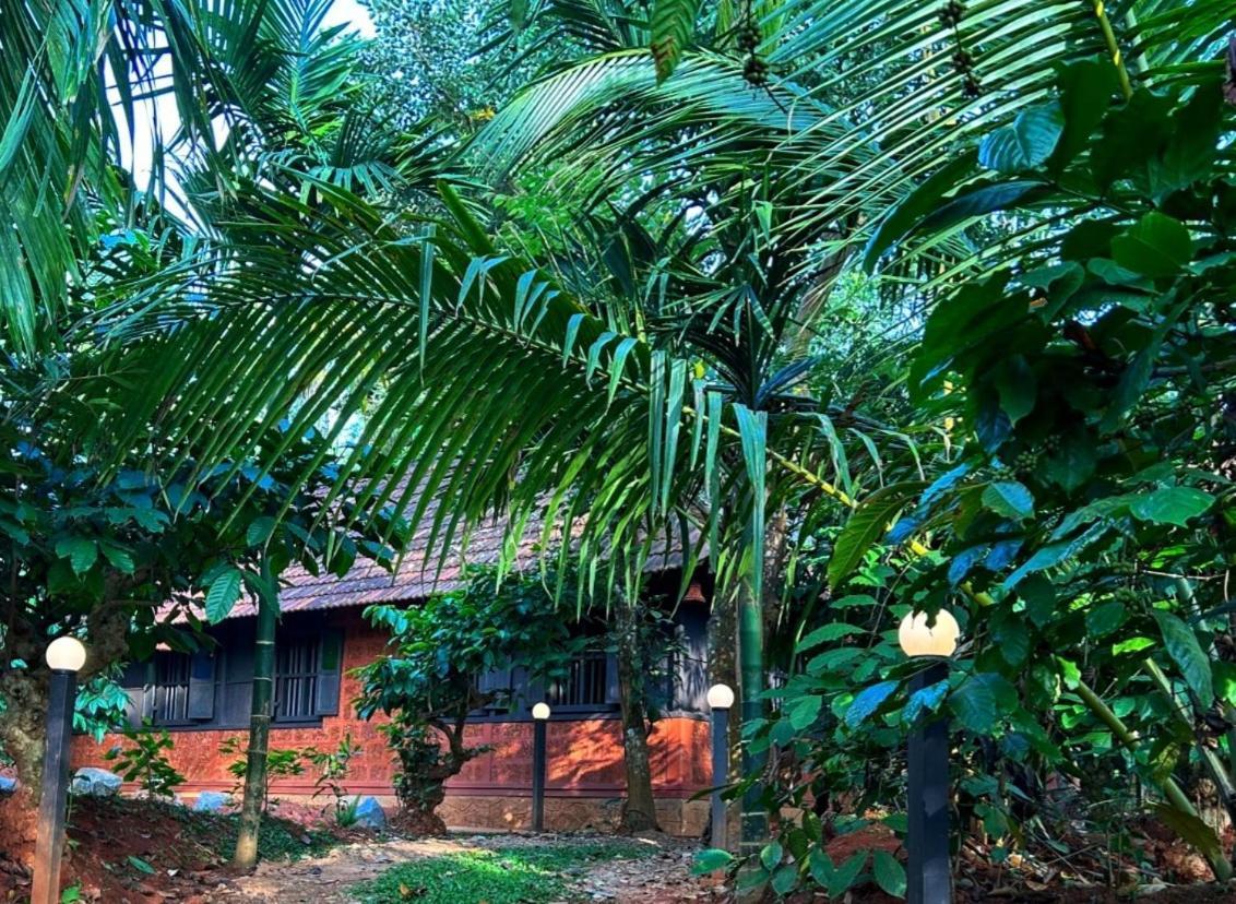 Greens Tree House & Wood House Sultan Bathery Exteriér fotografie