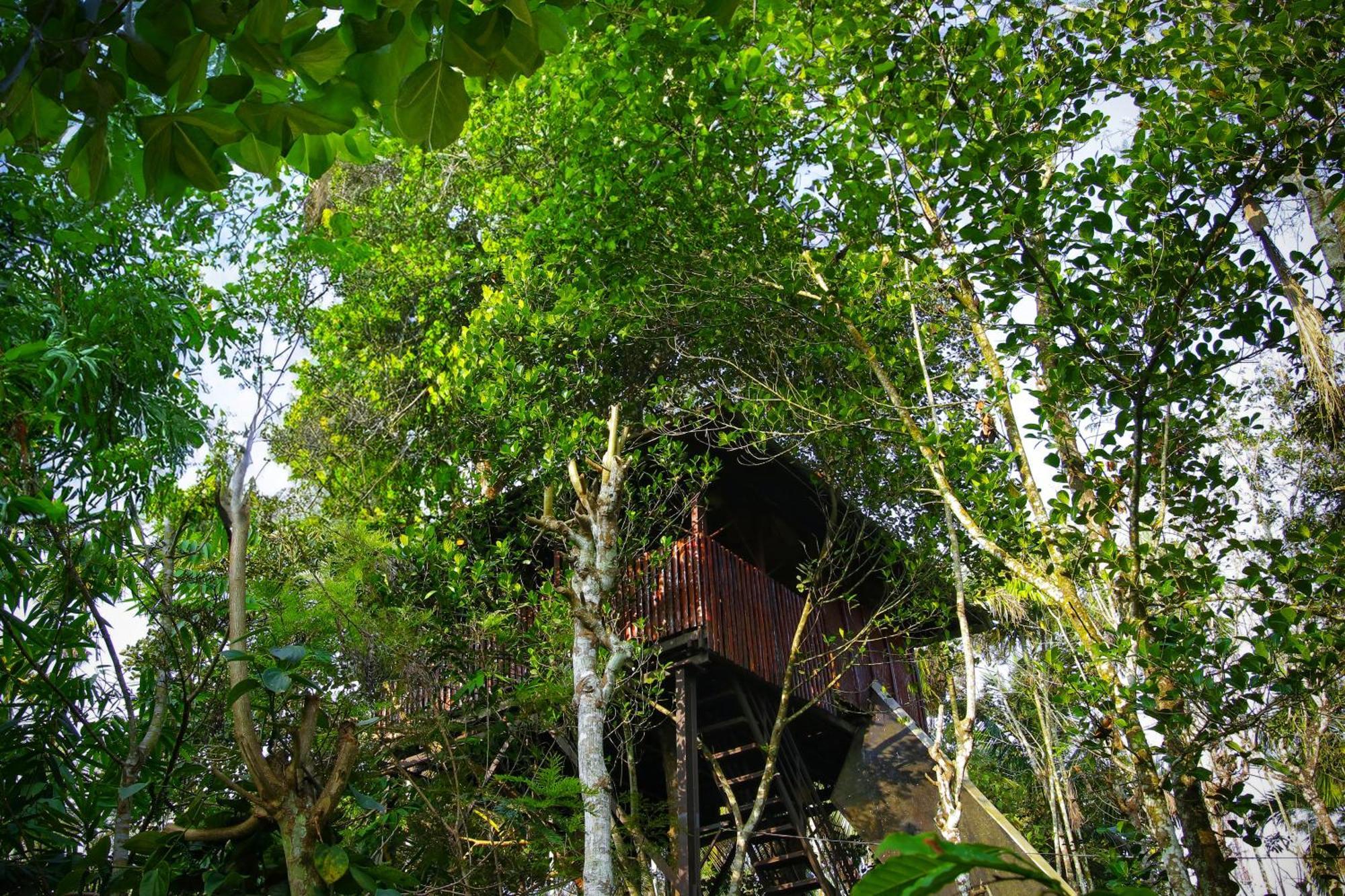 Greens Tree House & Wood House Sultan Bathery Exteriér fotografie