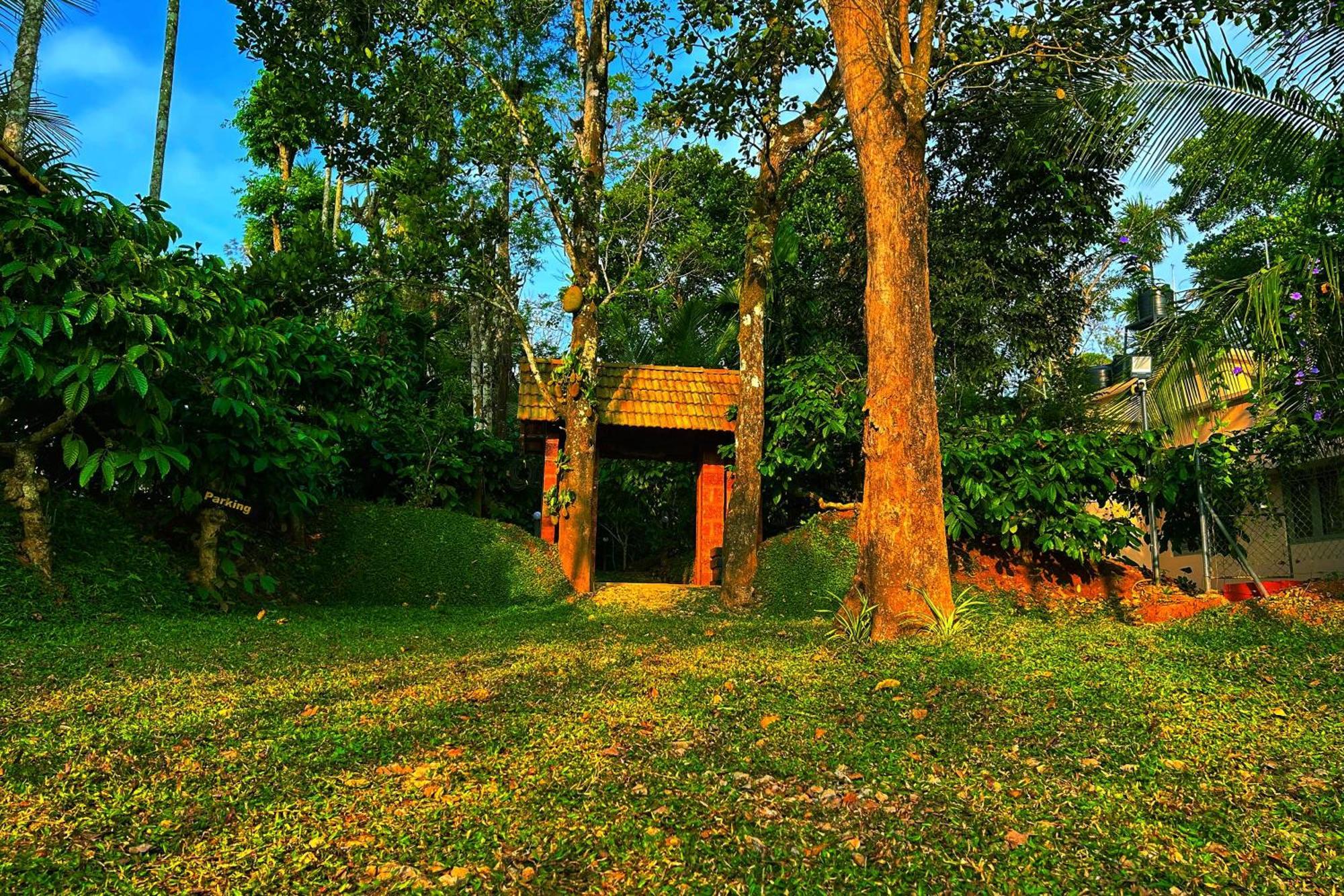 Greens Tree House & Wood House Sultan Bathery Exteriér fotografie