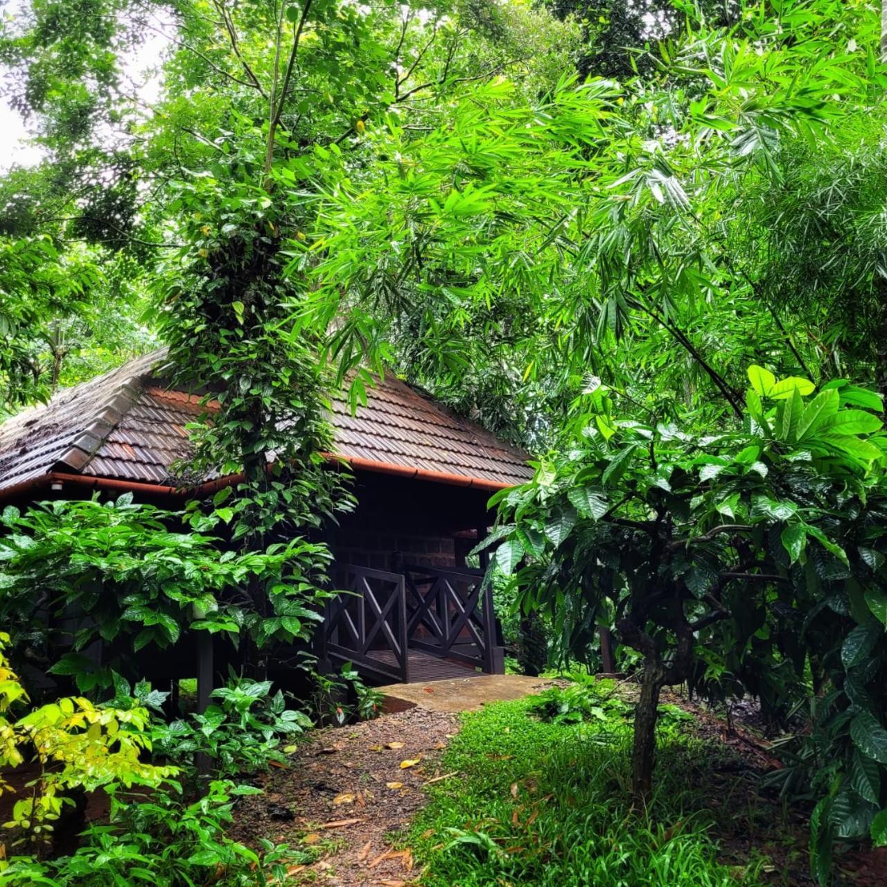 Greens Tree House & Wood House Sultan Bathery Exteriér fotografie