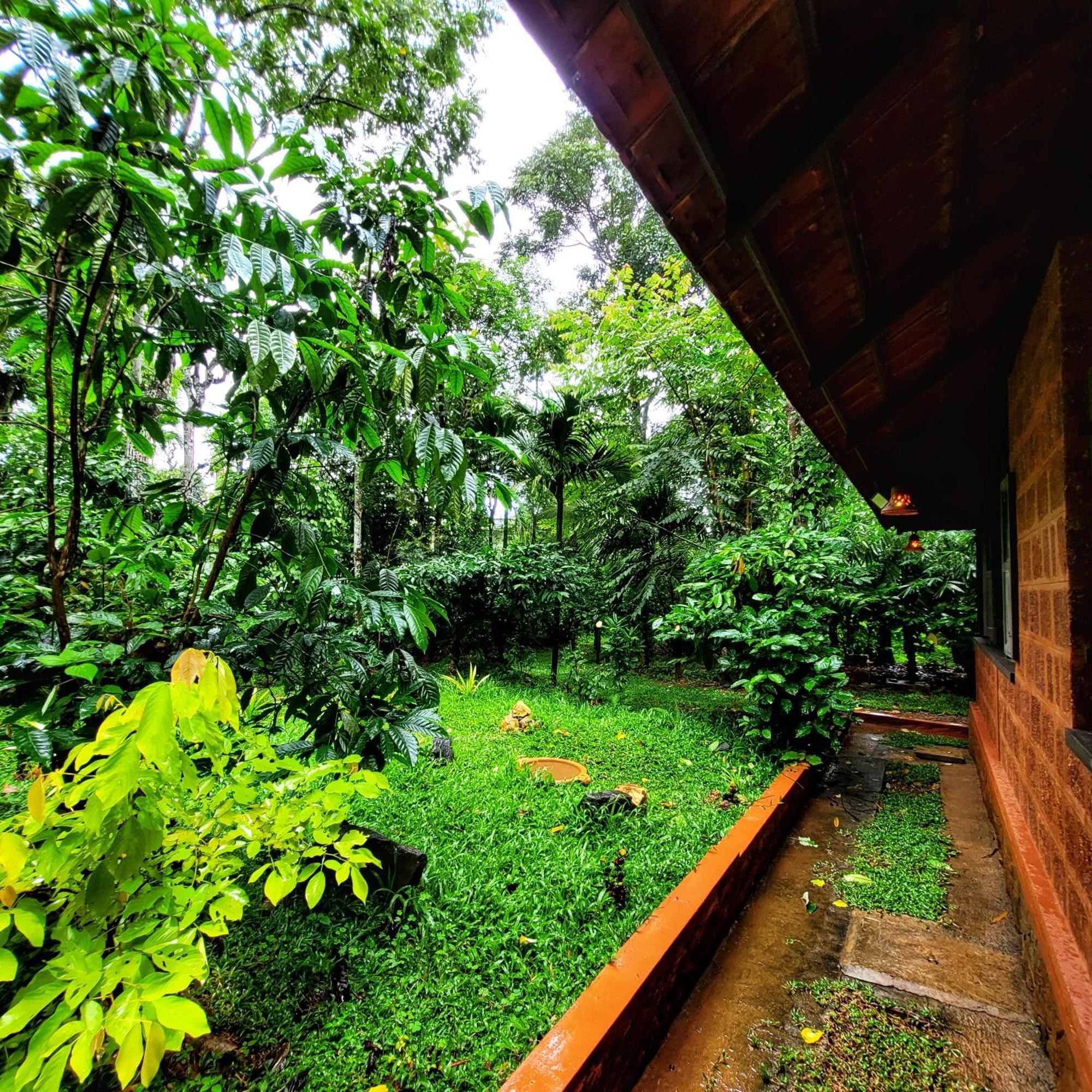 Greens Tree House & Wood House Sultan Bathery Exteriér fotografie
