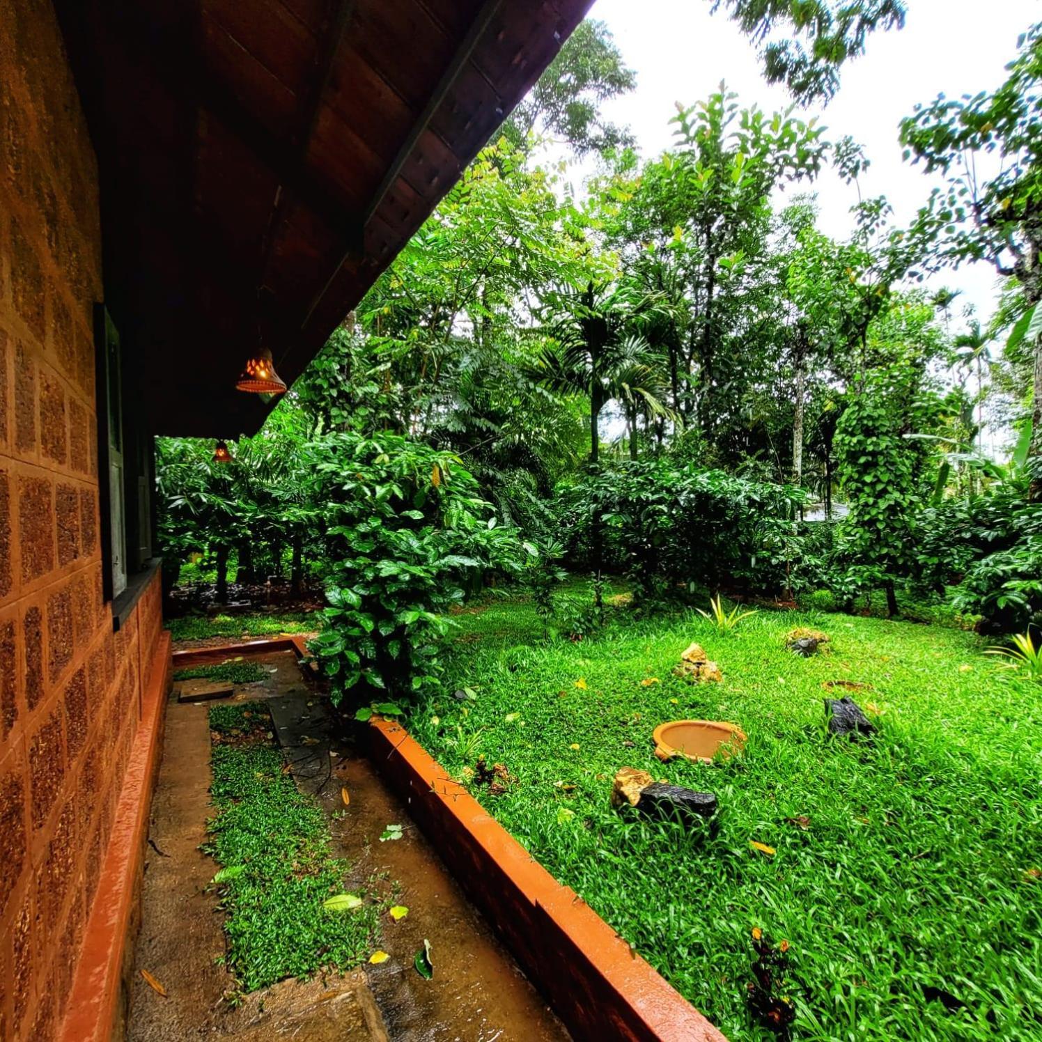 Greens Tree House & Wood House Sultan Bathery Exteriér fotografie