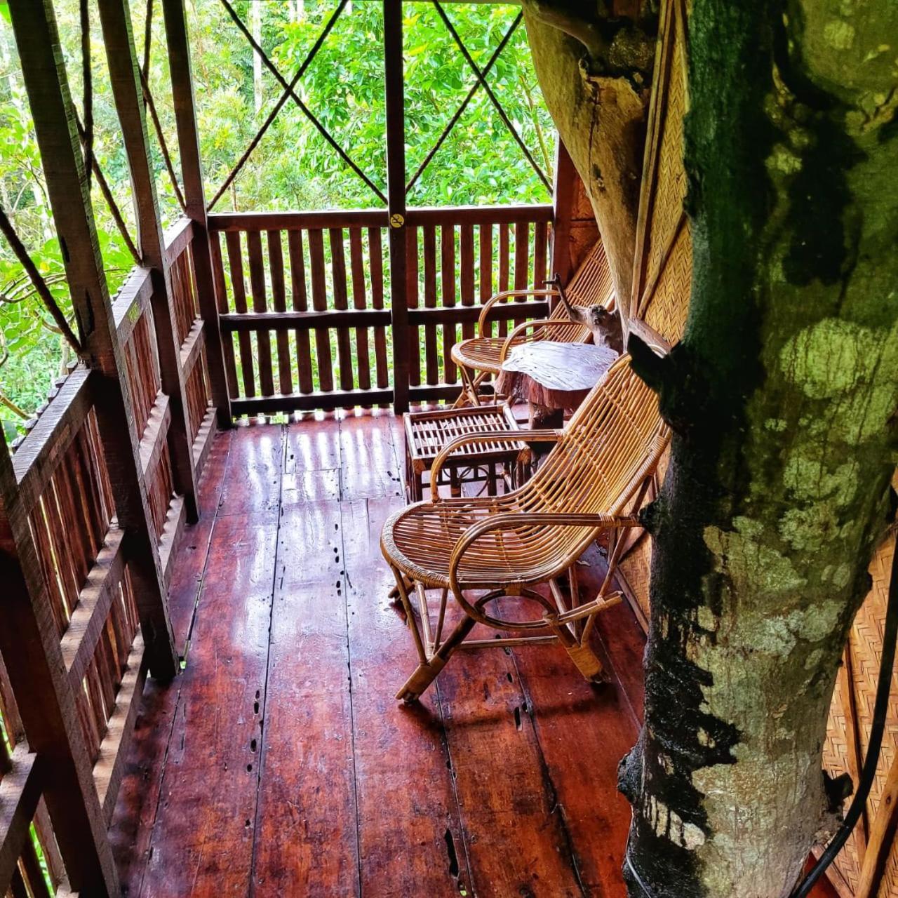 Greens Tree House & Wood House Sultan Bathery Exteriér fotografie