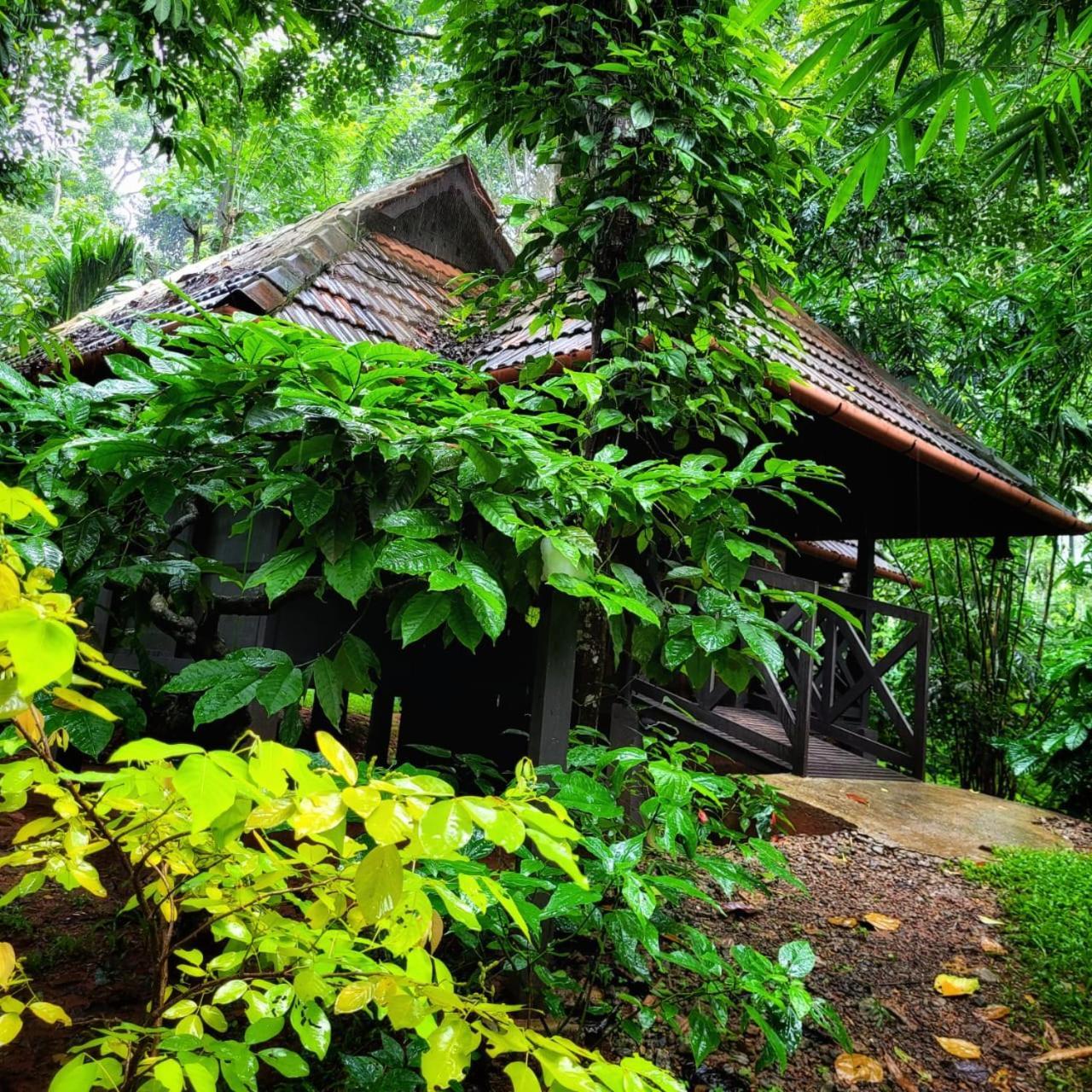 Greens Tree House & Wood House Sultan Bathery Exteriér fotografie