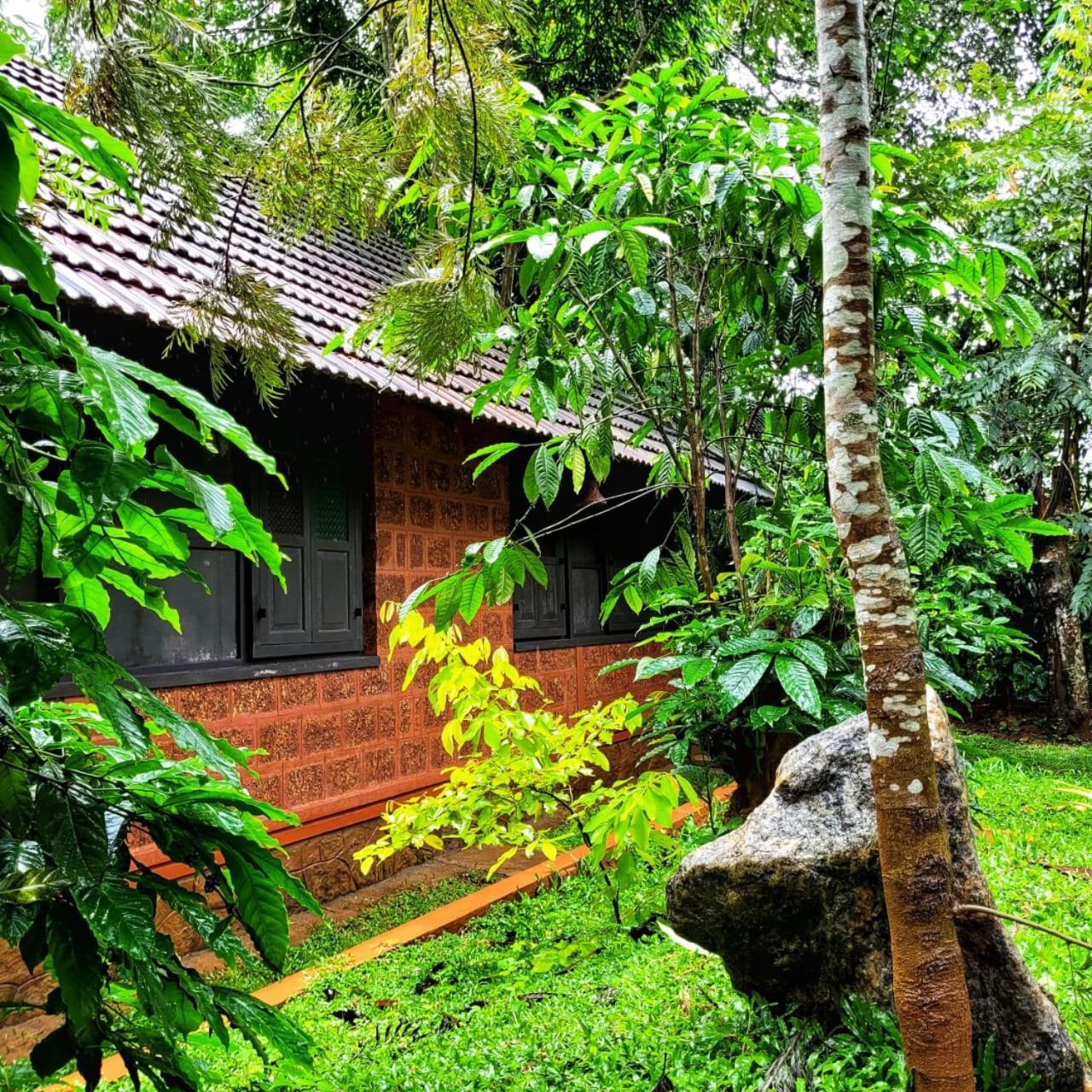 Greens Tree House & Wood House Sultan Bathery Exteriér fotografie