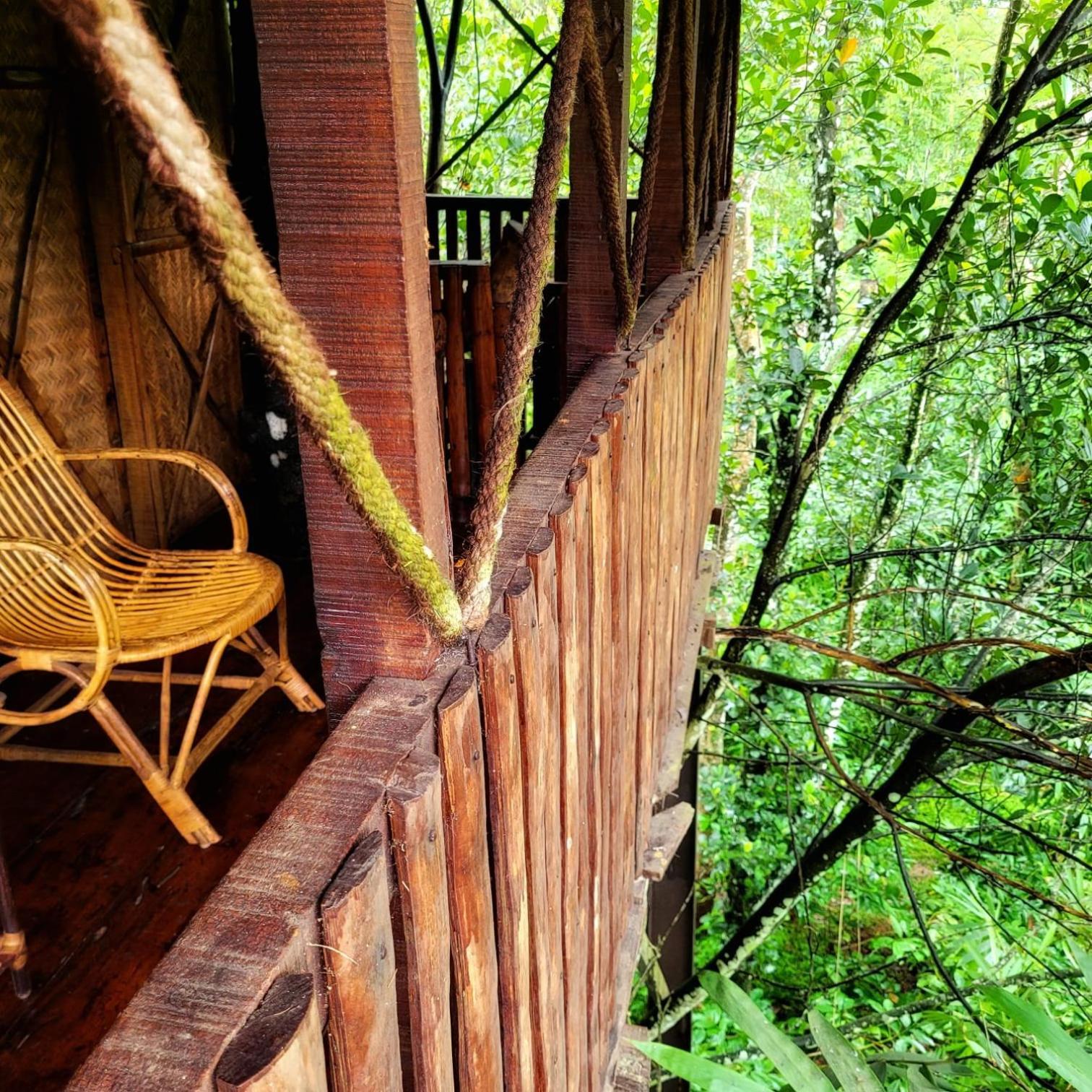 Greens Tree House & Wood House Sultan Bathery Exteriér fotografie