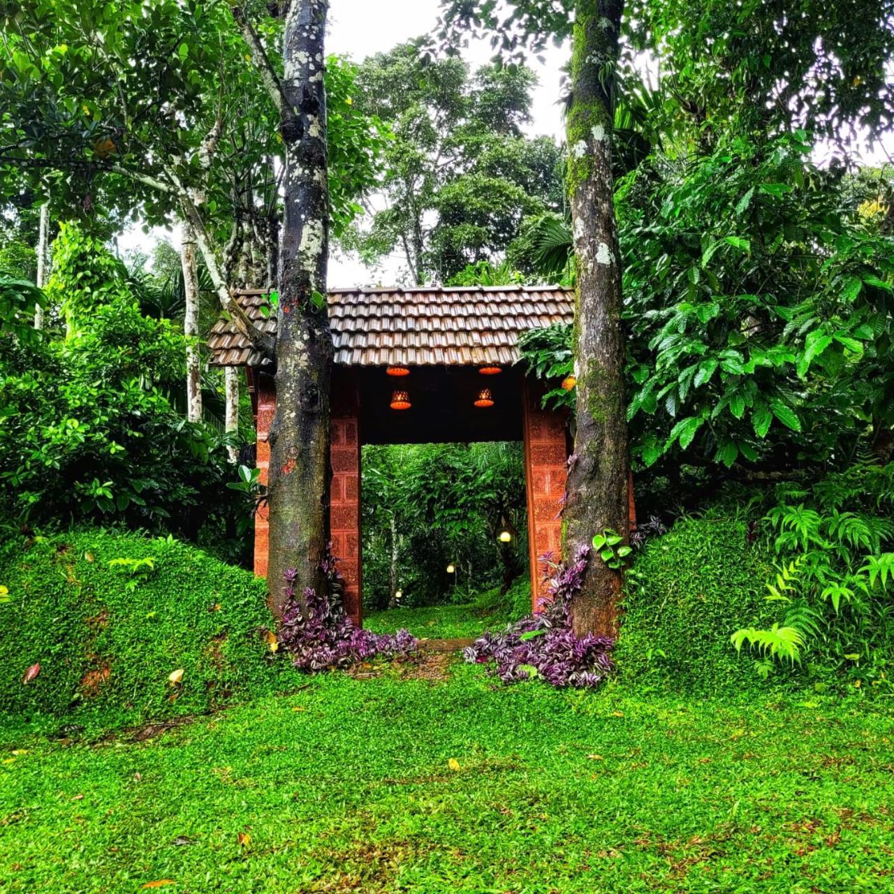 Greens Tree House & Wood House Sultan Bathery Exteriér fotografie