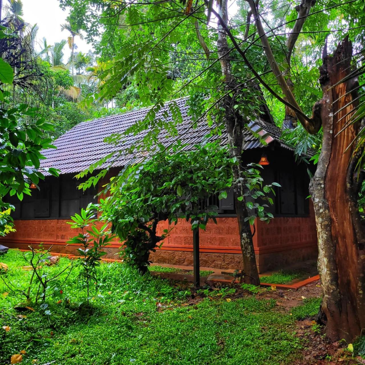 Greens Tree House & Wood House Sultan Bathery Exteriér fotografie