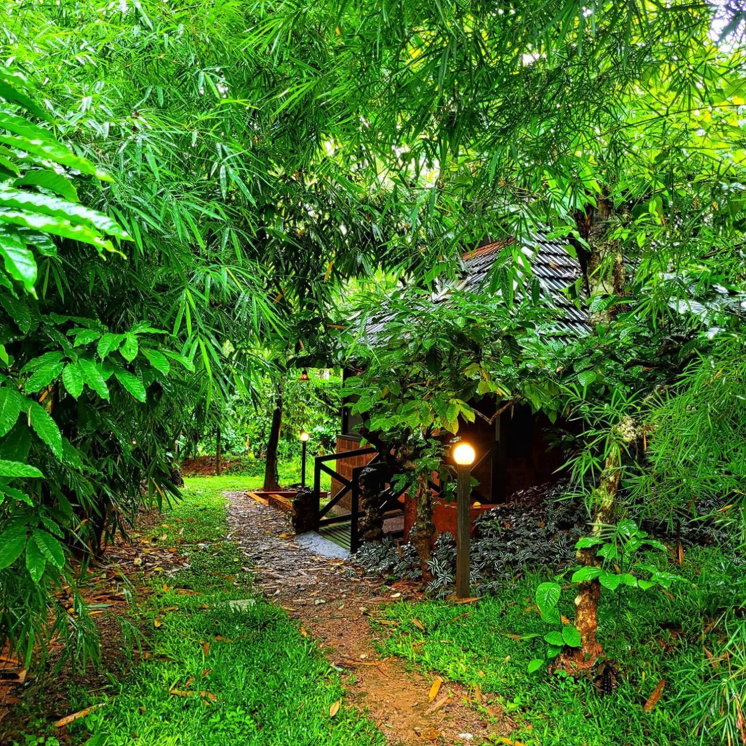 Greens Tree House & Wood House Sultan Bathery Exteriér fotografie