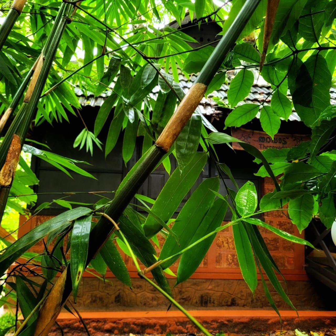 Greens Tree House & Wood House Sultan Bathery Exteriér fotografie