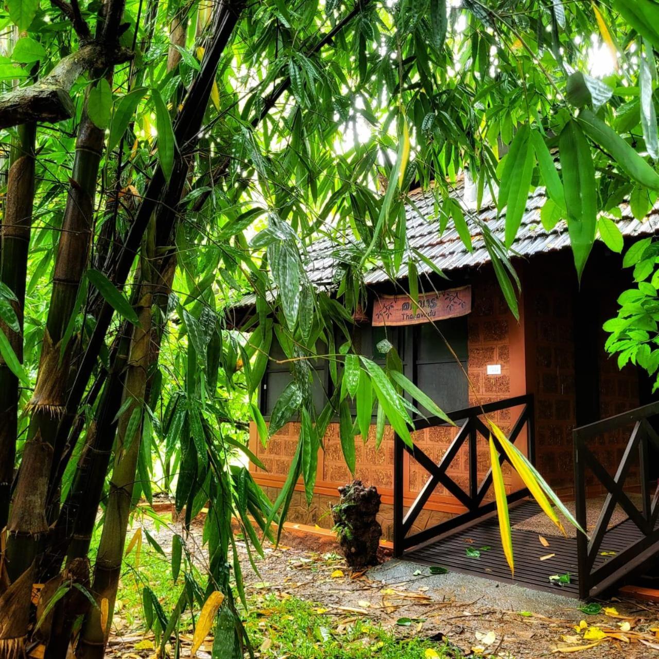 Greens Tree House & Wood House Sultan Bathery Exteriér fotografie