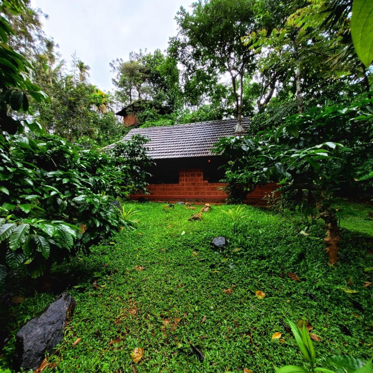 Greens Tree House & Wood House Sultan Bathery Exteriér fotografie